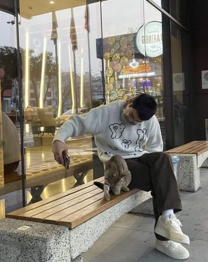 Jinyoung ve bir İstanbul kedisi 🫶🏻

*Fotoğraf Japon fan sitesinde paylaşılmış