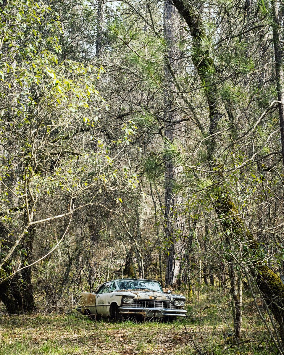 rodolfotografo's tweet image. Hidden treasure. 
📷 #fujifilm #XT3 
🔭 #pentacon #50mmf18
#placercounty #exploreauburn #Cadillac #photography #adaptedlens