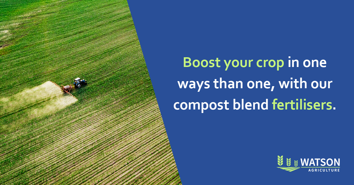 Yellow or discoloured leaves? Your plants need nitrogen! 

#WatsonAgriculture has the perfect solution for successful farmers in Victoria or New South Wales. Learn more about our nitrogen fertiliser: watsonagriculture.com.au/liquids/ 

#nitrogenfertiliser #fertiliser #nitrogen