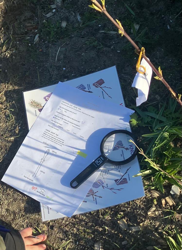 Gisteren was het #buitenlesdag. De kinderen van #basisschool De Klimop onderzochten de sapstromen van de bomen in het Spiraalbos. #onderwijs #natuureducatie #buitenleren #ontdekken