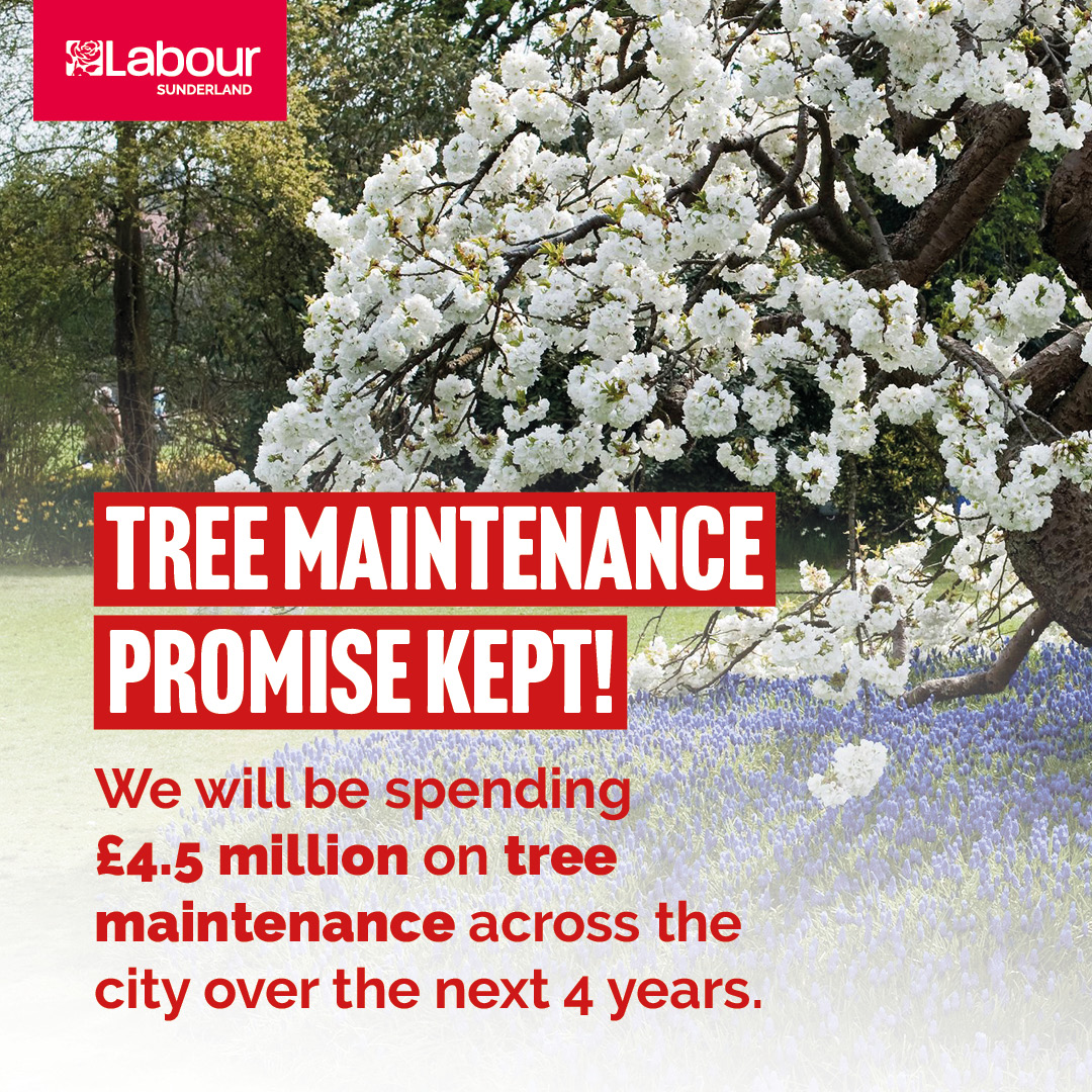 SunderlandLab's tweet photo. Multi-million pound investment in city trees!๐ณ ๐ฐ
We said in our People's Manifesto that we would invest in our green spaces... and we're continuing to do just that!
Only #LabourWorks for a greener, better #Sunderland ๐น https://t.co/ZO6EwgC9U2