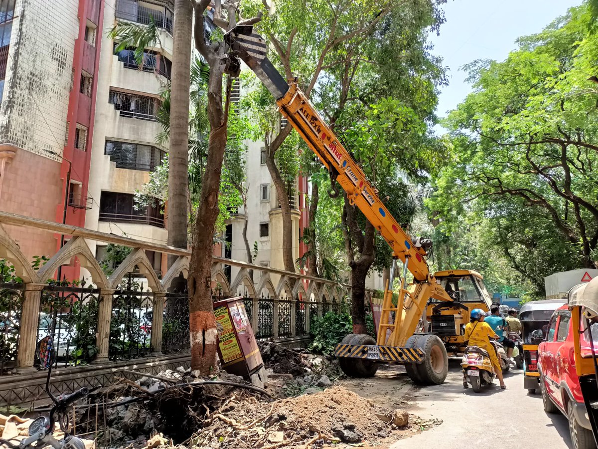 mehulkothari79's tweet photo. Modi says we need to be prepared for heat wave.Look what preparations are being done
PM Modi pls check this.Stop this ruthless uprooting of trees.We should be planting more and more trees but only the opposite is happening here. Odean Ghatkopar East Mumbai 400077. https://t.co/dt8QZpwSpj