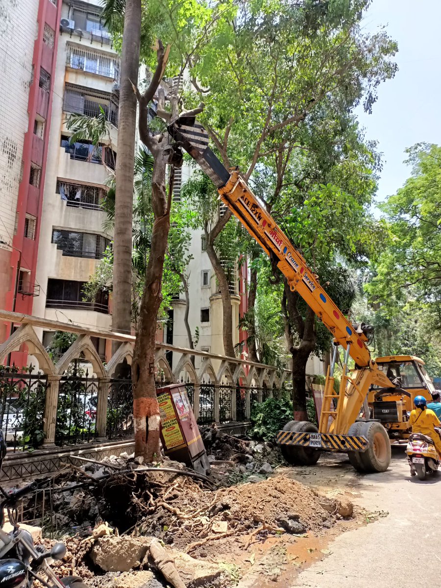 mehulkothari79's tweet photo. Modi says we need to be prepared for heat wave.Look what preparations are being done
PM Modi pls check this.Stop this ruthless uprooting of trees.We should be planting more and more trees but only the opposite is happening here. Odean Ghatkopar East Mumbai 400077. https://t.co/dt8QZpwSpj