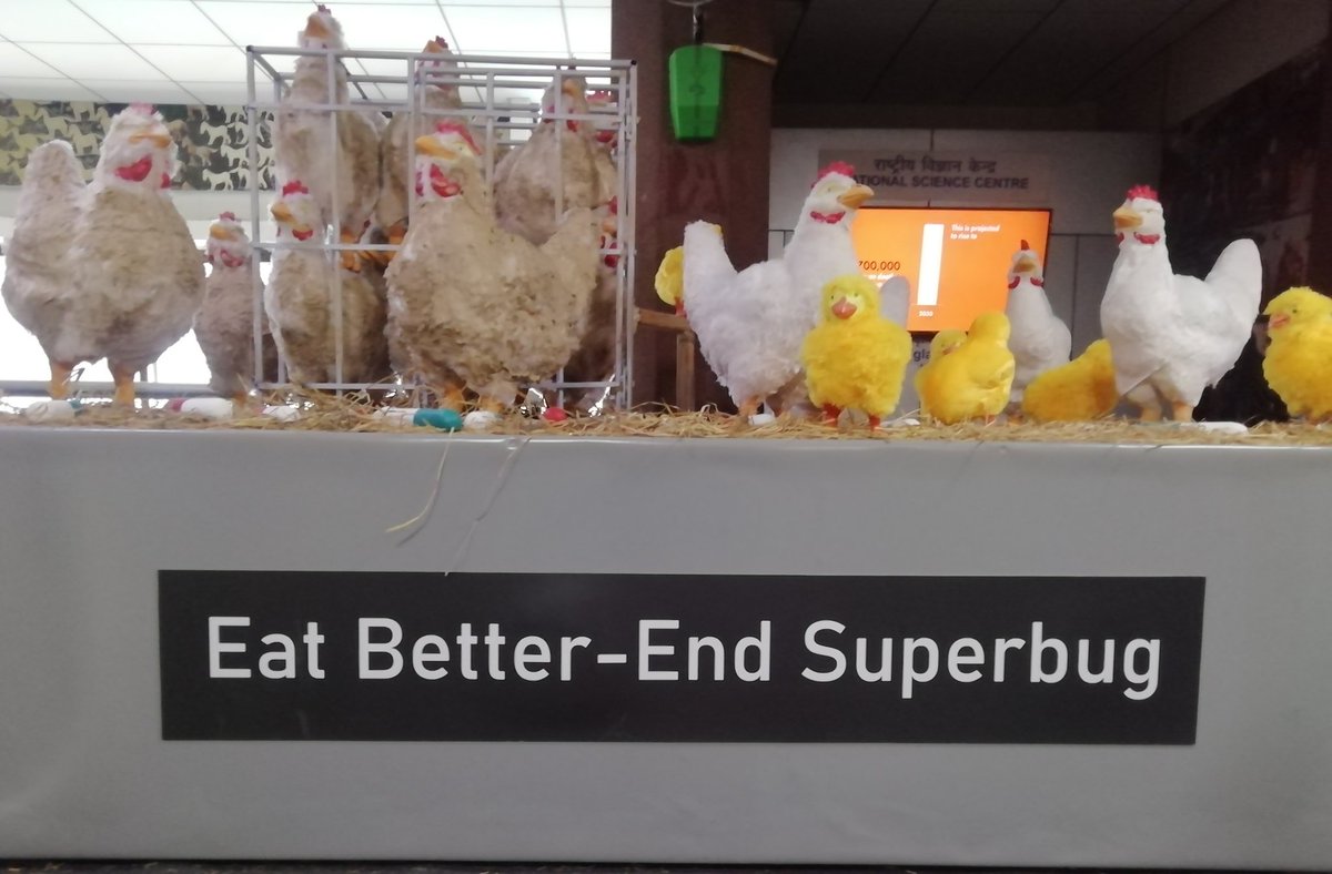 007Nishant's tweet photo. Our collective action can change the way we treat our animals.
Join @MoveTheWorldIN
@ncsmgoi @MinOfCultureGoI
@PMOIndia @WHO
@TimesNow
@ndtvindia
#AMR #EndSuperbug #StopFactoryFarming #AdaptGreen #EatBetter https://t.co/c2CKUJdsyb