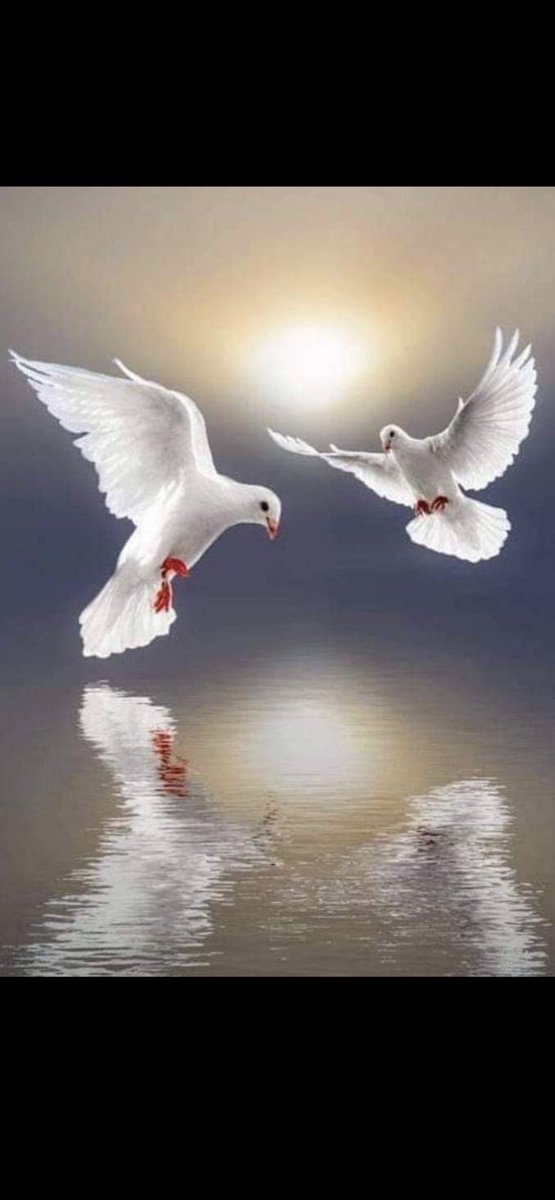 ✍🏻….

اللهم ..
أنها أيام .. تمضي ..
فـ اجعل لنا فيها .. 
نصيباً ..
من الرحمة .. والمغفرة ..
والعتق من النار ..!!

#شهر_الخير 
#رمضان_المبارك 

"
"