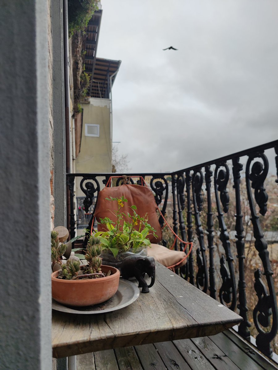 lovely rainy morning