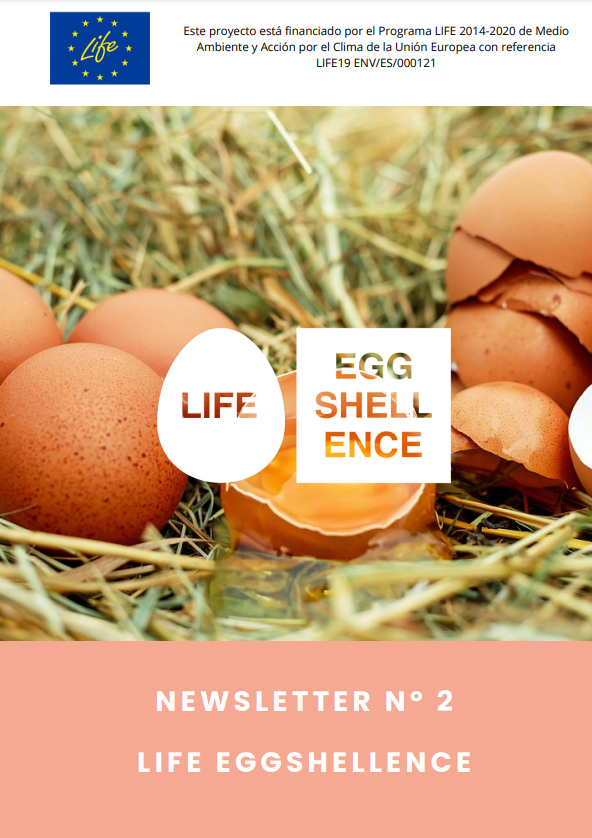 📢Para estar al día de todas las novedades del proyecto <a href="/LIFEprogramme/">LIFE Programme</a> no te pierdas la #Newsletter2 que hemos publicado en nuestra web 
💻 lifeeggshellence.eu/prensa/
🥚 Newsletter 2: bit.ly/40Zaz9q
