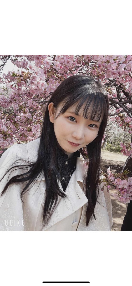 AV_MODELS_DAO's tweet photo. ほんとかわいい、久しぶりのヒットだわ、いやホームラン級の可愛いさ！ https://t.co/KdUHbzJsEB