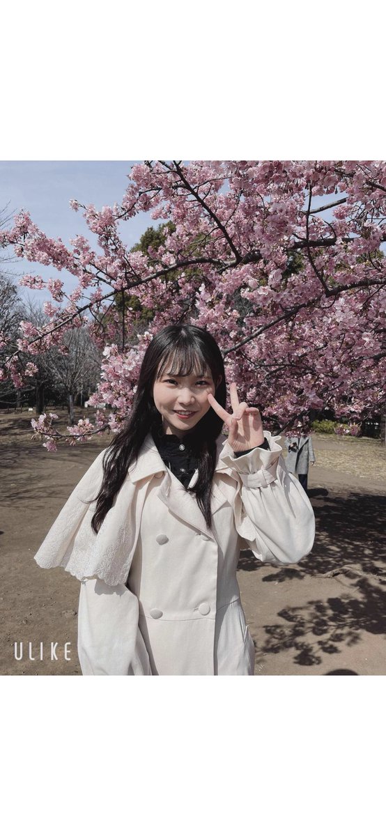 AV_MODELS_DAO's tweet photo. ほんとかわいい、久しぶりのヒットだわ、いやホームラン級の可愛いさ！ https://t.co/KdUHbzJsEB
