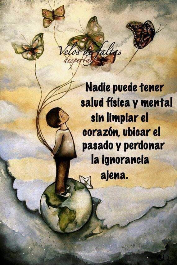 avanzandoacasa's tweet photo. Buen día!! https://t.co/hAeCTdml08