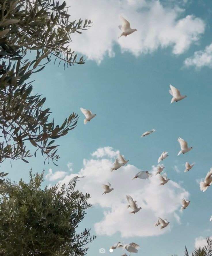 Ro7____0's tweet photo. "إنِّي أُجاهِدُ أن أكونَ كَغَيمَةٍ 
بَيضاءَ مَرَّت لا ضِرارَ ولا ضَرَر" https://t.co/yWJ672nWQE