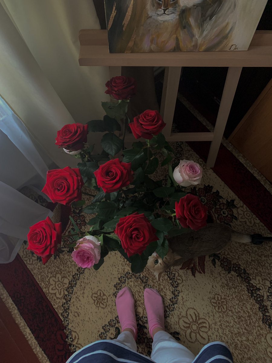 Good morning my Fam 🌹
Who found the cat in the photo?)