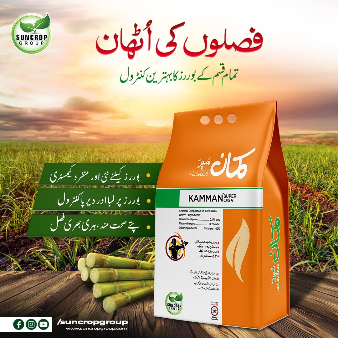 suncrop_group's tweet photo. سن کراپ گروپ لایا کماد کے کھیت میں بوررز کے فوری اور لمبے عرصے تک کنٹرول کیلئے جدید ترین فارمولا "کمان سُپر"، 
کمان سُپر .... فصلوں کی اٹھان سُپر
مزید معلومات کے لیے ہماری ہیلپ لائن پر فری کال کریں. ہیلپ لائن:080058000
#Kaman #sugarcane #Pakistanfarming 
https://t.co/gPvQYv9bwB https://t.co/VNYzIqdwr3
