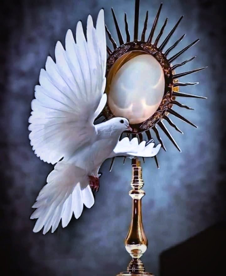 flor_ell879's tweet image. Lord, strengthen our faith, by
the power of the Holy Spirit and the Blessed Sacrament 🙏✝️🕊️

#Holyweek #pray #AprilMonth #HolySpirit #BlessedSacrament
