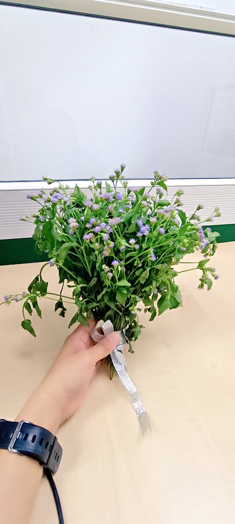 Qjoon's tweet photo. I got this bouquet for my birthday. 🥹 Really appreciated it.🥰  Thankss for the gift. 

HappyBirthday dear myself.. 🥰🥰🥰 https://t.co/eDkrpG33G7