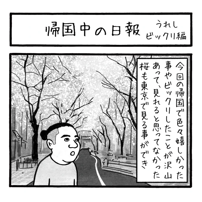 「帰国中の日報 うれしビックリ編」
今年は例年より桜の開花が早かったようで、良い意味で予想を裏切り東京では満開の桜が見れた
東京で桜を見るのはおそらく20年以上ぶりで、とても良い時期に行く事ができました。
第294話

#工務店の日報 