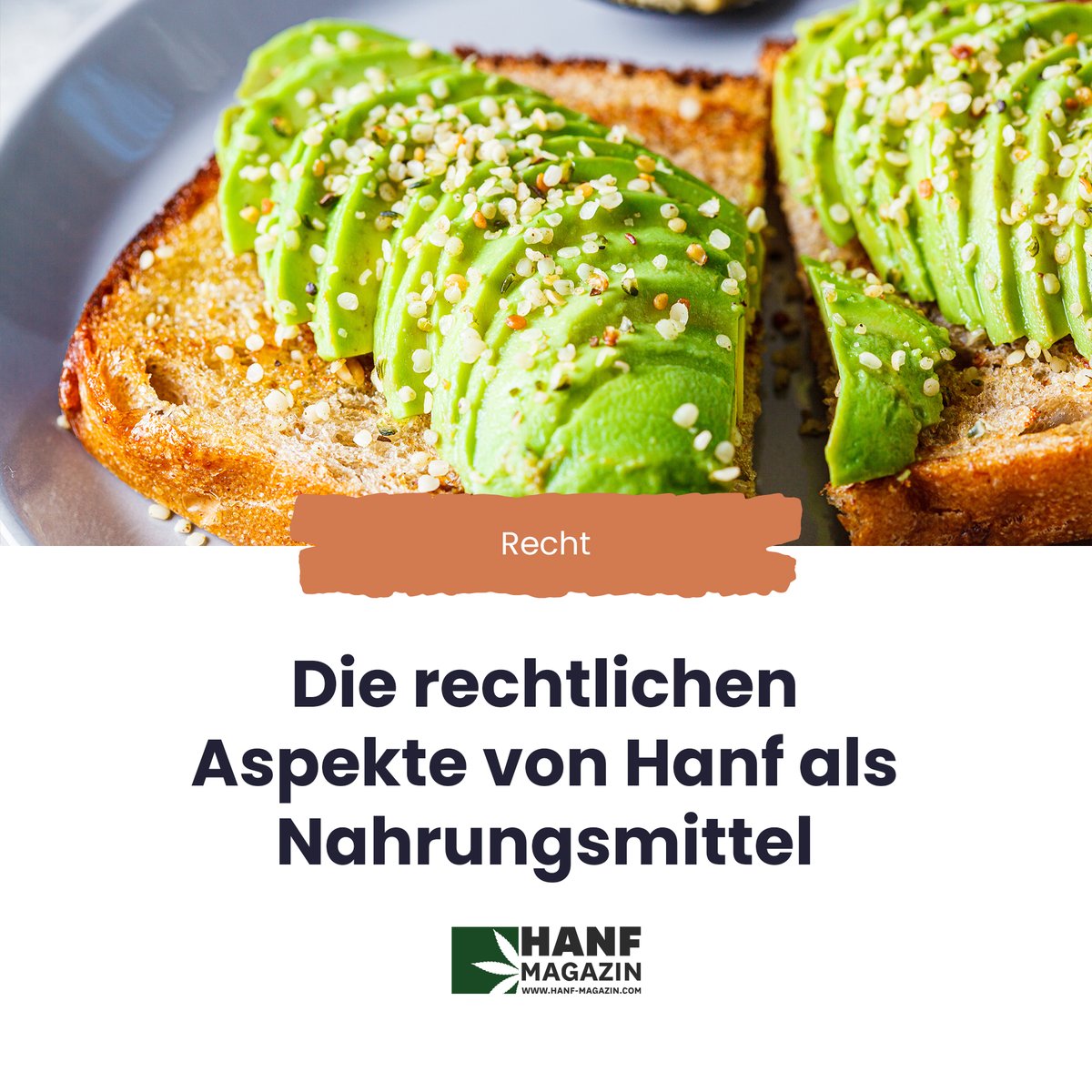 hanfmagazin's tweet photo. Hanf als Nahrungsmittel in Deutschland: Was sagt das Gesetz?
https://t.co/IoAnrDorFD
#Hanf #Nahrungsmittel #Recht #Deutschland #nutzhanf #cbd #hanf #cannabis #cbdshop #hemp #cbdoil #cbdgermany #cbdbl #weed #cbdhealth #cbddeutschland #cbdcommunity https://t.co/leCczqhnMG