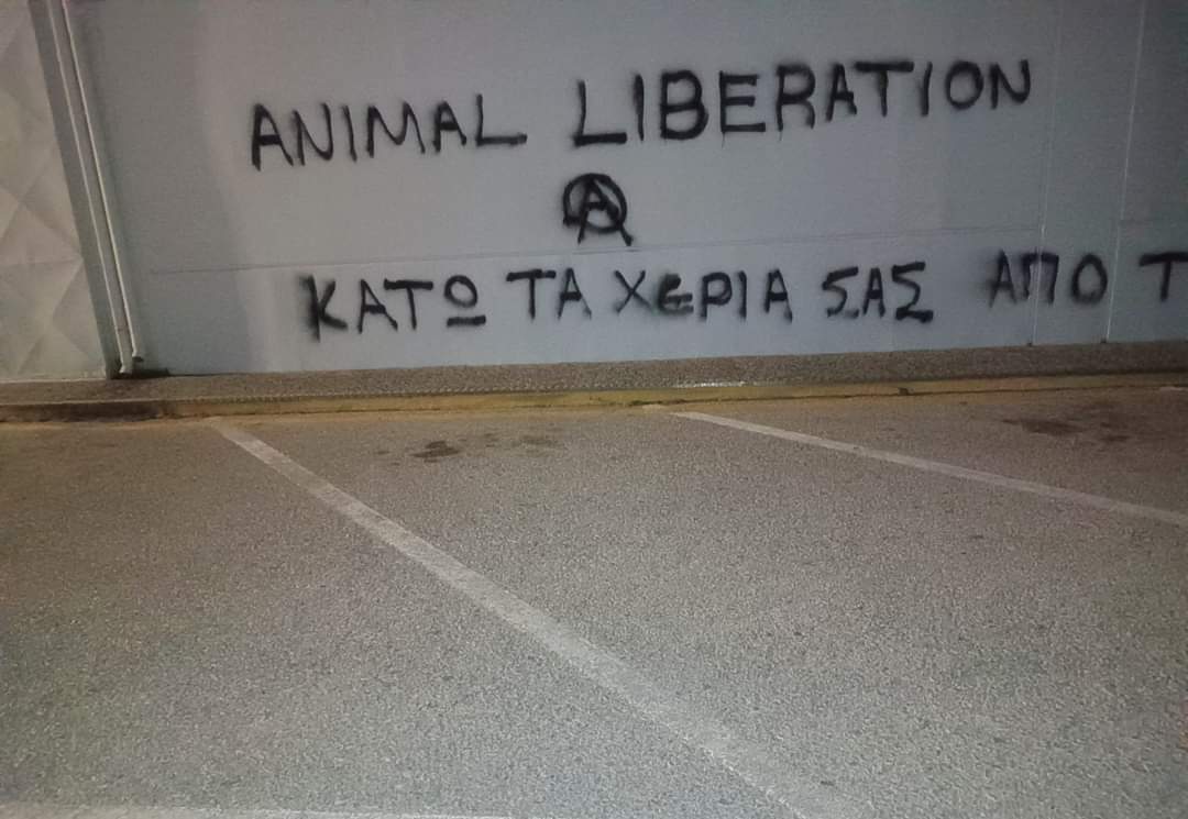 HumansBastards's tweet photo. Παρέμβαση με σπρέι στα jumbo Ρόδου!

Κανένα ανθρώπινο και μη, θύμα του καπιταλισμού!
#animalliberation #humanliberation https://t.co/3lGFTU98iP