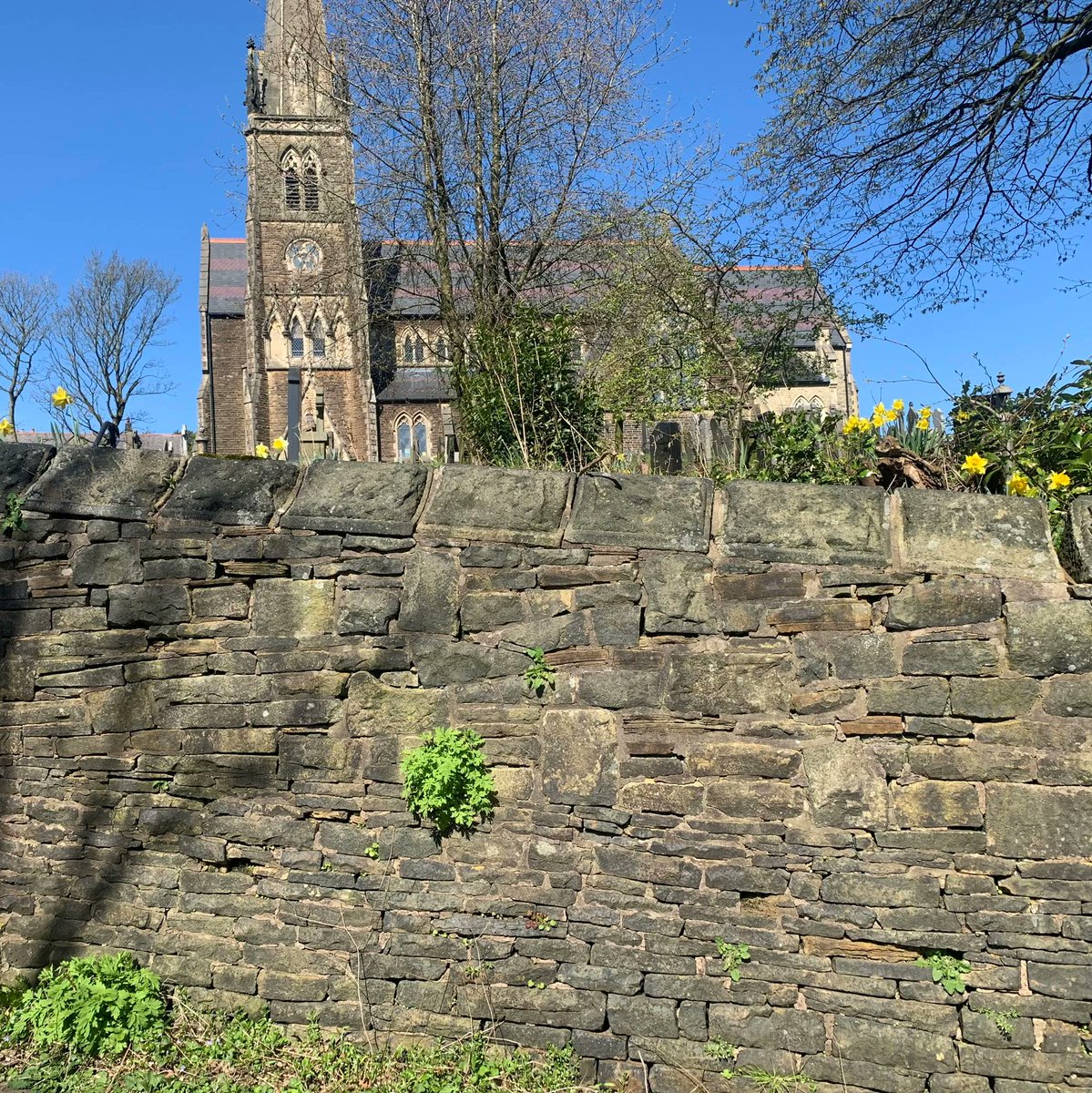 aspirelanguages's tweet photo. Le mot de mercredi, c'est 'un mur'  🌻💒
Un vieux mur de pierre entoure le cimetière et l’église qui surplombe le village 
  🌻💒
Wednesday's word is 'a wall'  🌻💒
An old stone wall surrounds the cemetery and the church which overlooks the village  🌻💒#langtwt #learnfrench https://t.co/PtIaz4vhve