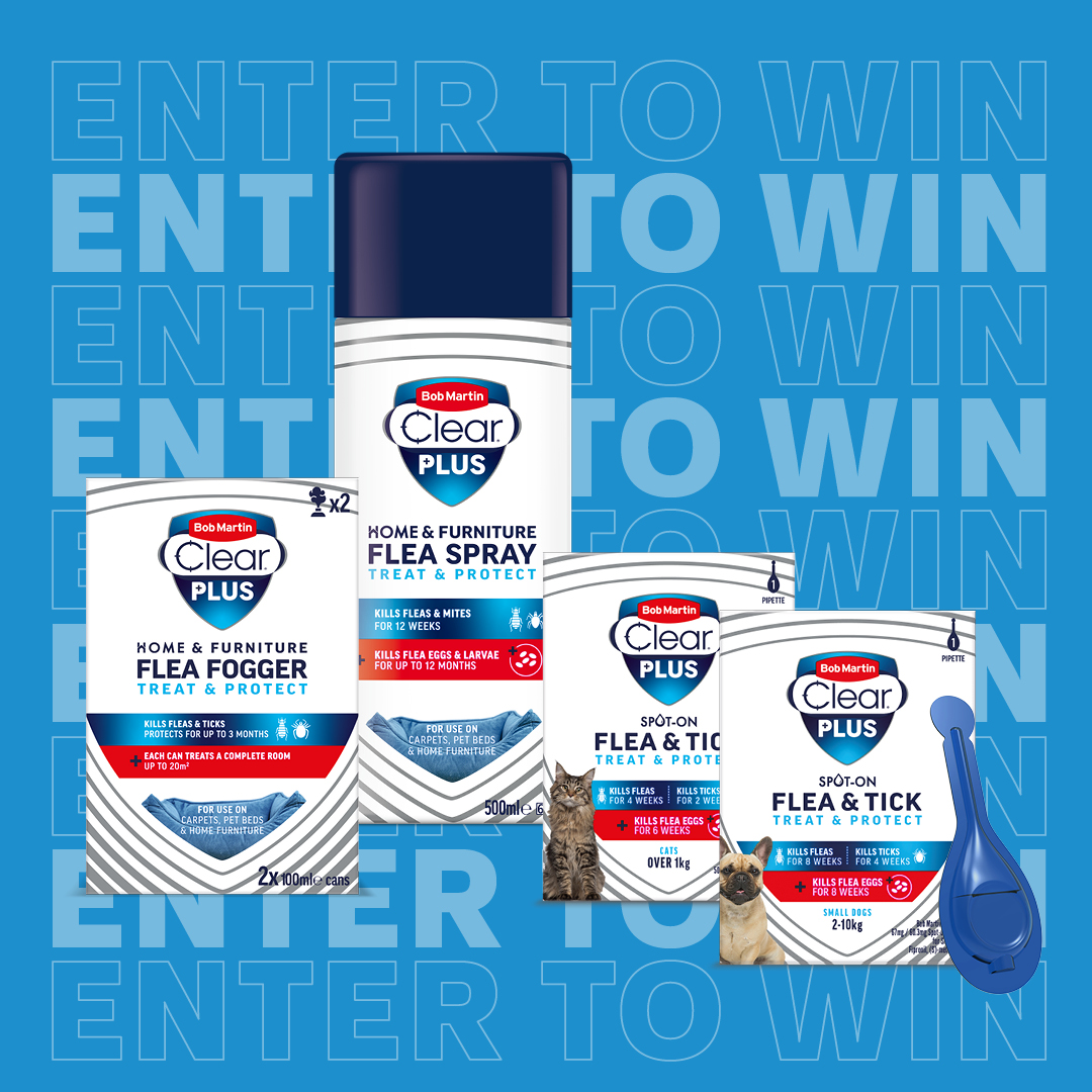 BobMartinPets's tweet photo. To celebrate National Pet Month, we're giving away a six-month supply of Bob Martin products so you can fight back against fleas, ticks and worms!  To enter all you have to do is:

Like this post
Retweet
Tag a friend in the comments

Comp ends  12th April T&amp;Cs apply! Good luck. https://t.co/5lWYKwZBRN