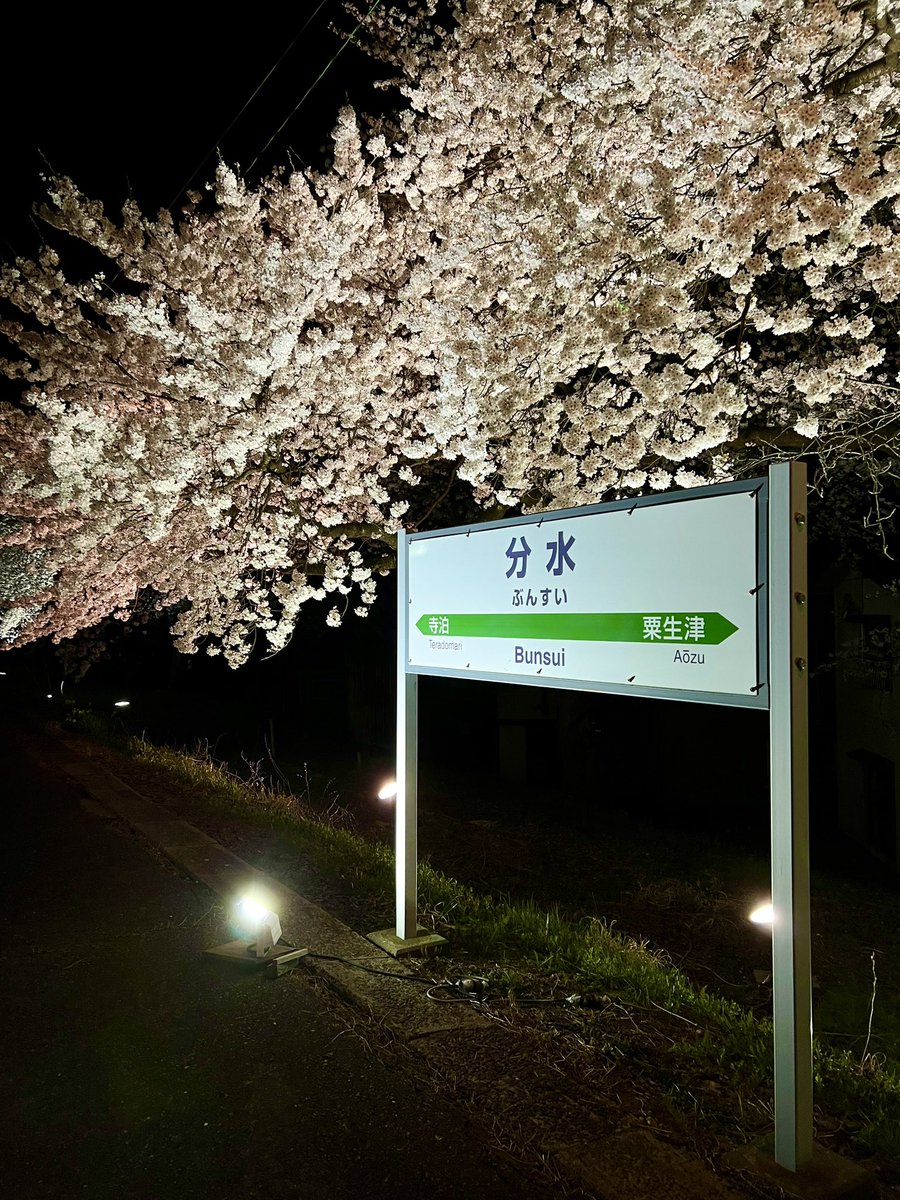 tsubamekanko's tweet photo. ＝＝＝🌸さくら茶屋🌸＝＝＝~4/12

4/2から分水駅前に公園内観光案内所として【さくら茶屋】が設置されています！！
屋台定番のフランクフルト、焼きそば、チョコバナナ、一部アルコールもありました😆塩麹唐揚げうますぎっ

分水駅の夜桜を見に行きましょう！！
#夜桜 #地域おこし協力隊 #tsubametrip https://t.co/ezSipEuSCP
