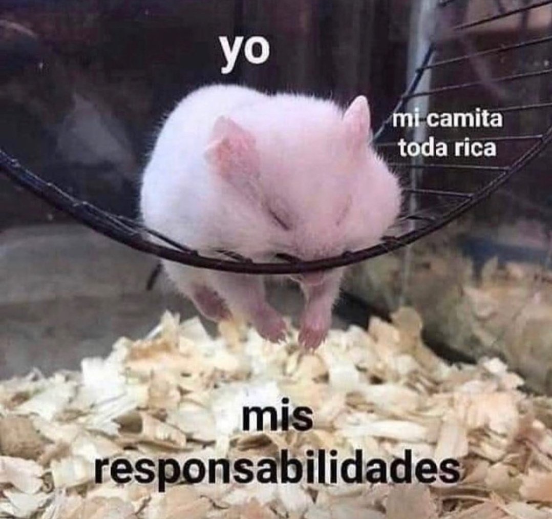 piña sin pizza (@skereunpesado) on Twitter photo 
