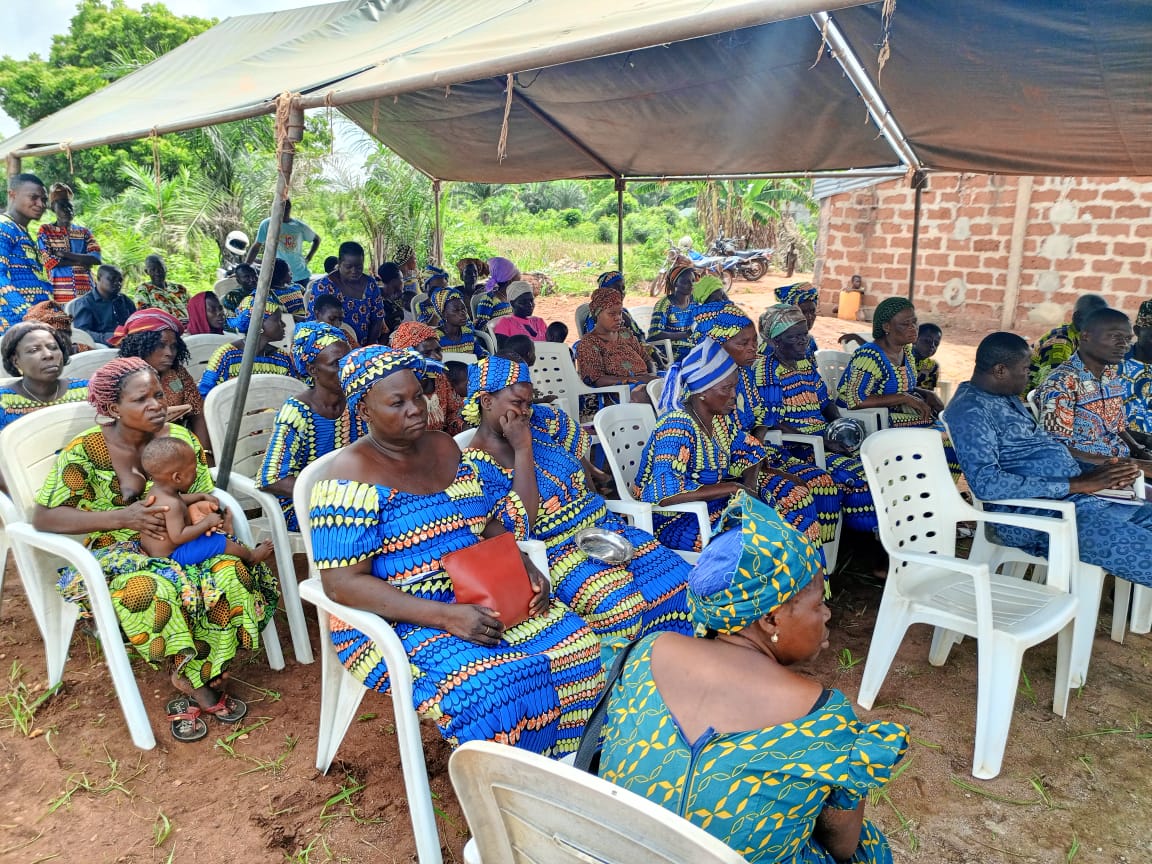 CEDIF ONG tweet media