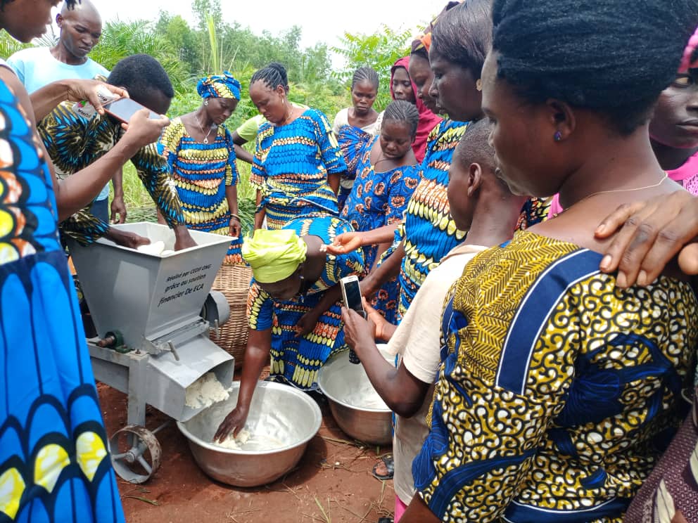 CEDIF ONG tweet media