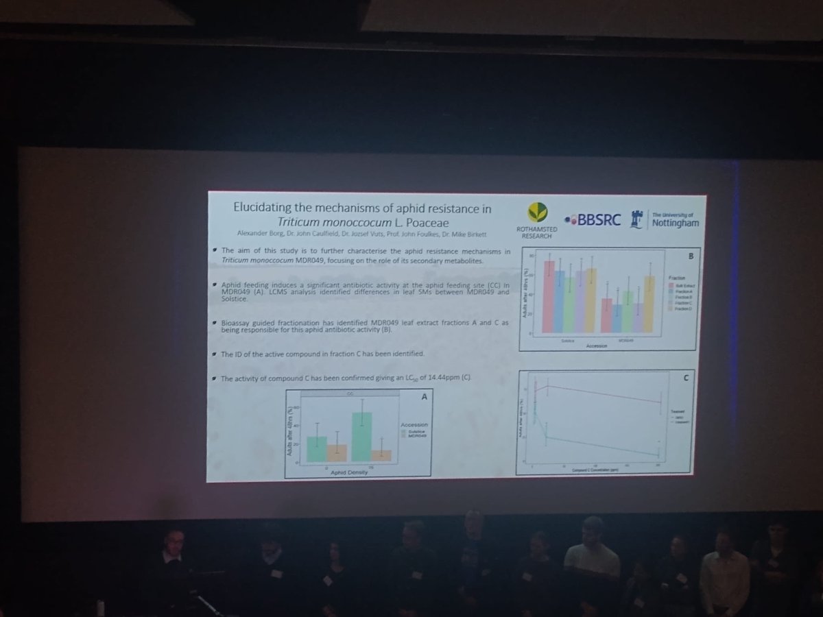 Alex Borg tweet media