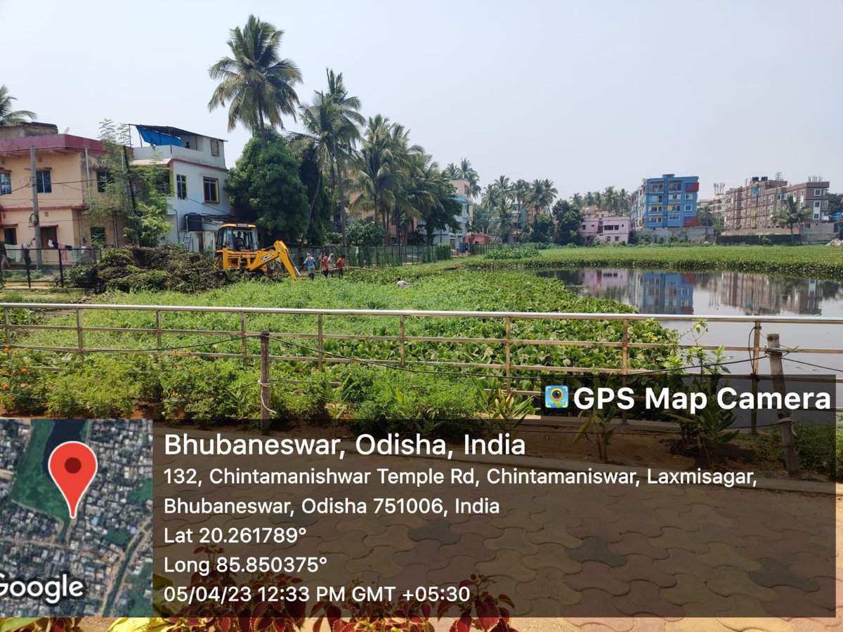 BMC on Twitter "Deweeding work is in progress at Fishery tank