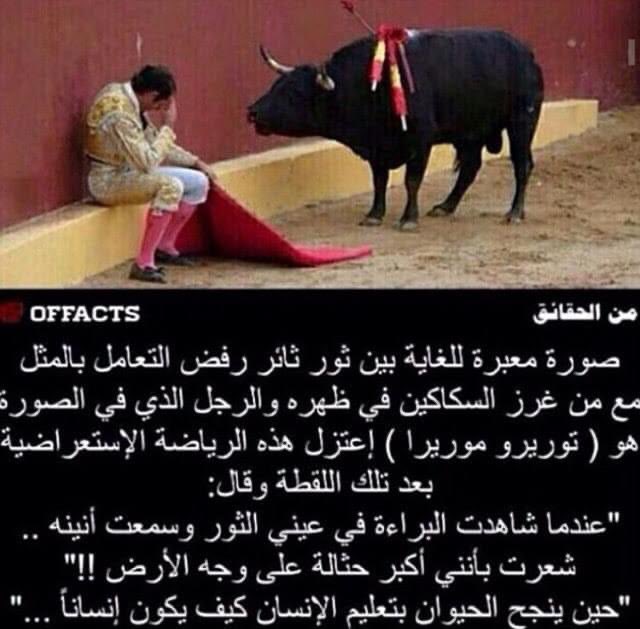 لبيبه (@2020labiba) on Twitter photo 