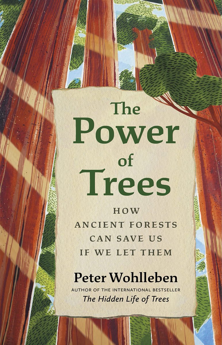 Out now – <a href="/PeterWohlleben/">Peter Wohlleben</a>'s The Power of #Trees: How Ancient #Forests Can Save Us if We Let Them nhbs.com/the-power-of-t… <a href="/greystonebooks/">Greystone Books</a>
sounds a warning against the dangers of tree planting while championing natural forest restoration <a href="/BSBIbotany/">BSBI: Botanical Society of Britain & Ireland</a> <a href="/Botanical_/">Botanical Society of America</a> <a href="/ASPB/">ASPB</a> <a href="/CBHLTweets/">Council on Botanical & Horticultural Libraries</a>