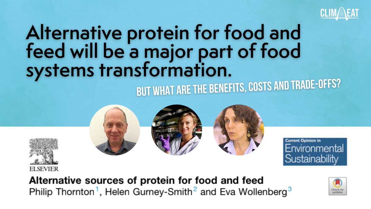 #Altproteins have considerable potential for sustainably delivering protein for food and feed. 

But what are the benefits, costs and trade-offs at scale? ⚖️

📰New paper explores different alternative protein sources: doi.org/10.1016/j.cosu…