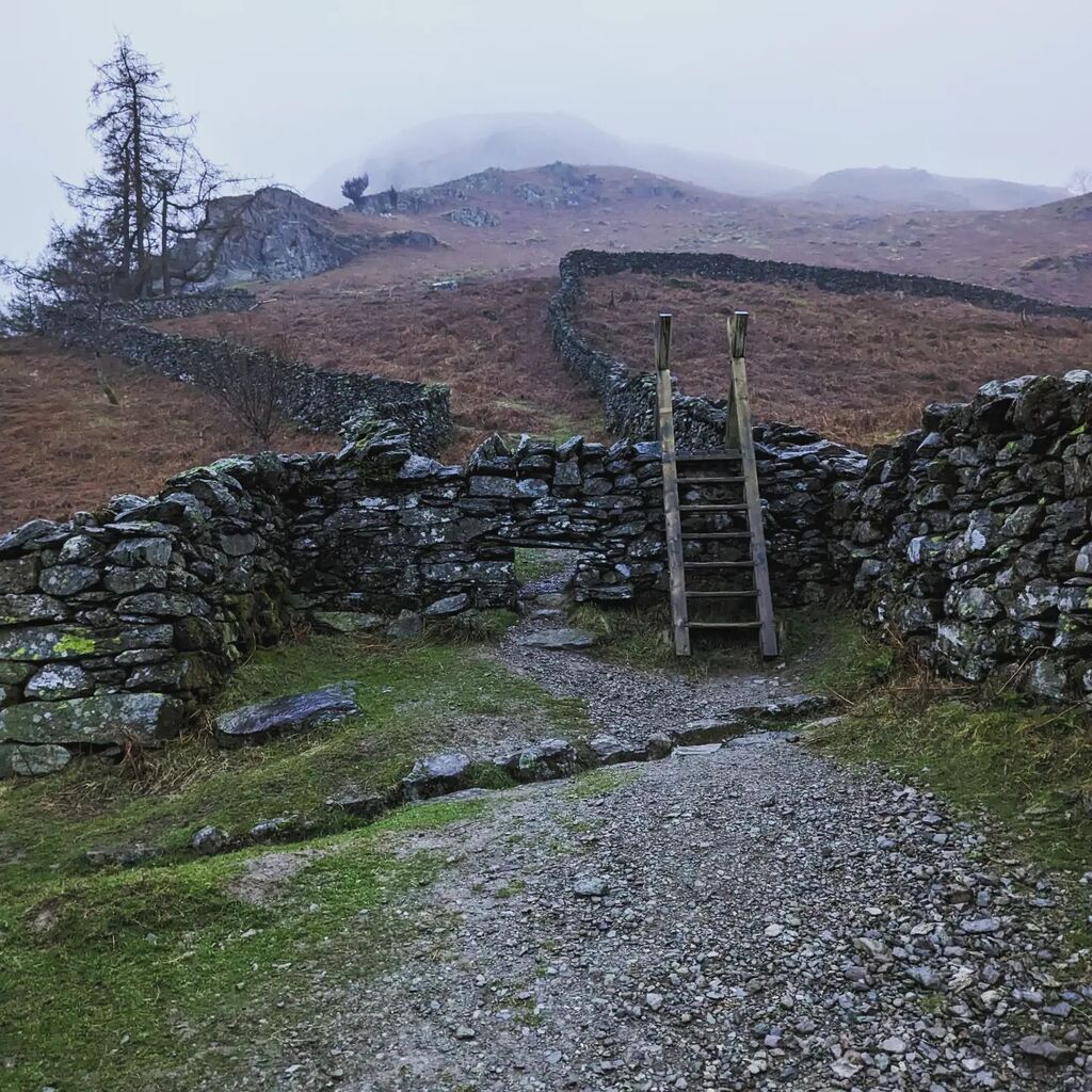 instagr.am/p/CqpUupauiDT/