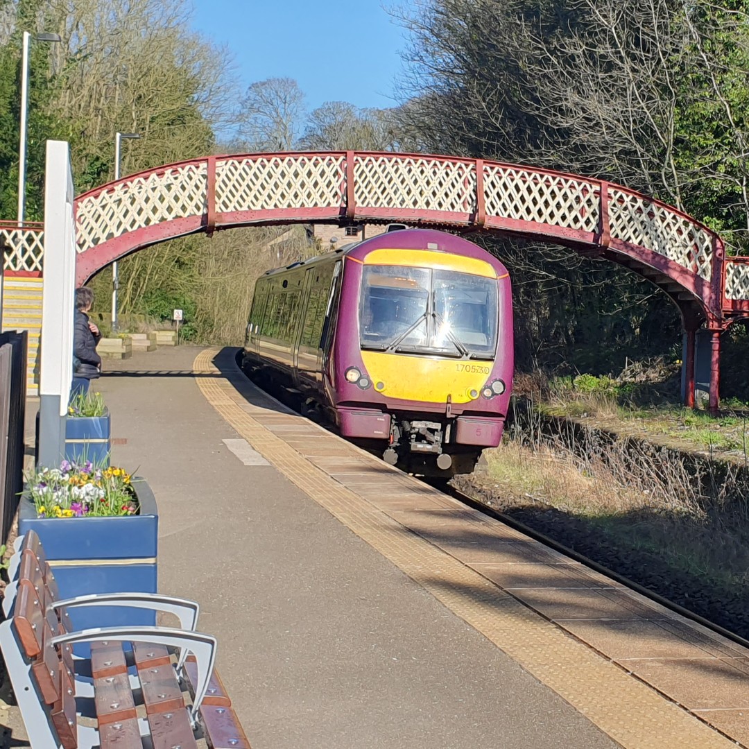 DVLrail's tweet photo. Spring flower power at #Whatstandwell station 🥰

#WednesdayMotivation #Spring #Flowers #SpringFlowers #Daffodils #communitygardensweek #Gardening #Derbyshire #DerwentValley #PeakDistrict #TravelByTrain @EastMidRailway @EMCommunityRail https://t.co/eHMU9D8tVR