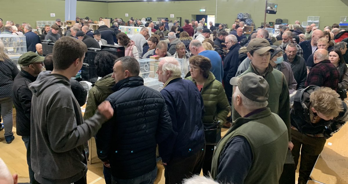 cambirdsale's tweet photo. A massive thank you to all our table holders, trade stands and customers who once again turned out in large numbers on Sunday for another very busy #cambirdsale in Milton. 👏 

The next date for your diary is 𝐒𝐮𝐧𝐝𝐚𝐲 𝟐𝟖𝐭𝐡 𝐌𝐚𝐲 and bookings for that will open shortly. https://t.co/ofMznqUkF0