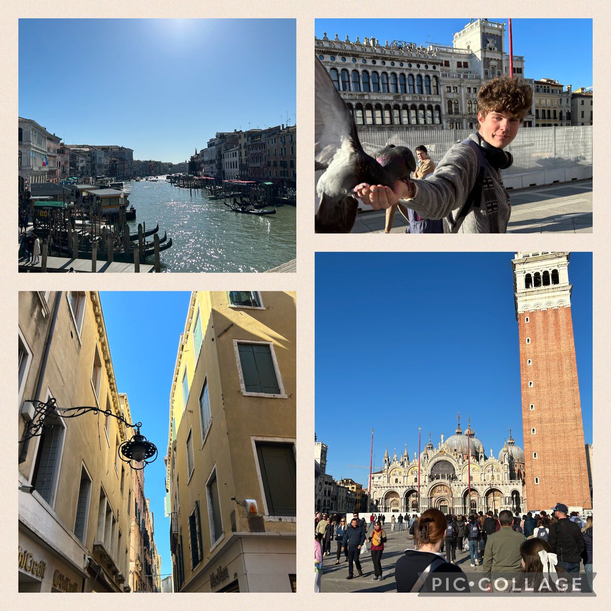 More Venice magic <a href="/ImmaculataOCSB/">Immaculata High School</a> #vivaItalia 🇮🇹 #whymac #travelfar #dreambig #ocsbTravels #ocsbDL #experientiallearning <a href="/Ms_Leahey/">Dayna Leahey</a> <a href="/MmeLaroche/">Mme Laroche</a>