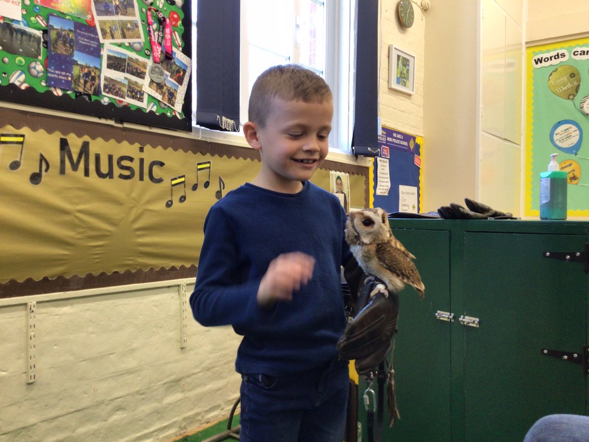 MCPS_Maple (@mcps_maple) on Twitter photo We had so much fun getting up close and personal with <a href="/norfolkowls/">Norfolkowls</a> yesterday. Thank you to Richard for teaching us so much about them 🦉#HAFclub #owls #norfolkowls We had so much fun getting up close and personal with <a href="/norfolkowls/">Norfolkowls</a> yesterday. Thank you to Richard for teaching us so much about them 🦉#HAFclub #owls #norfolkowls