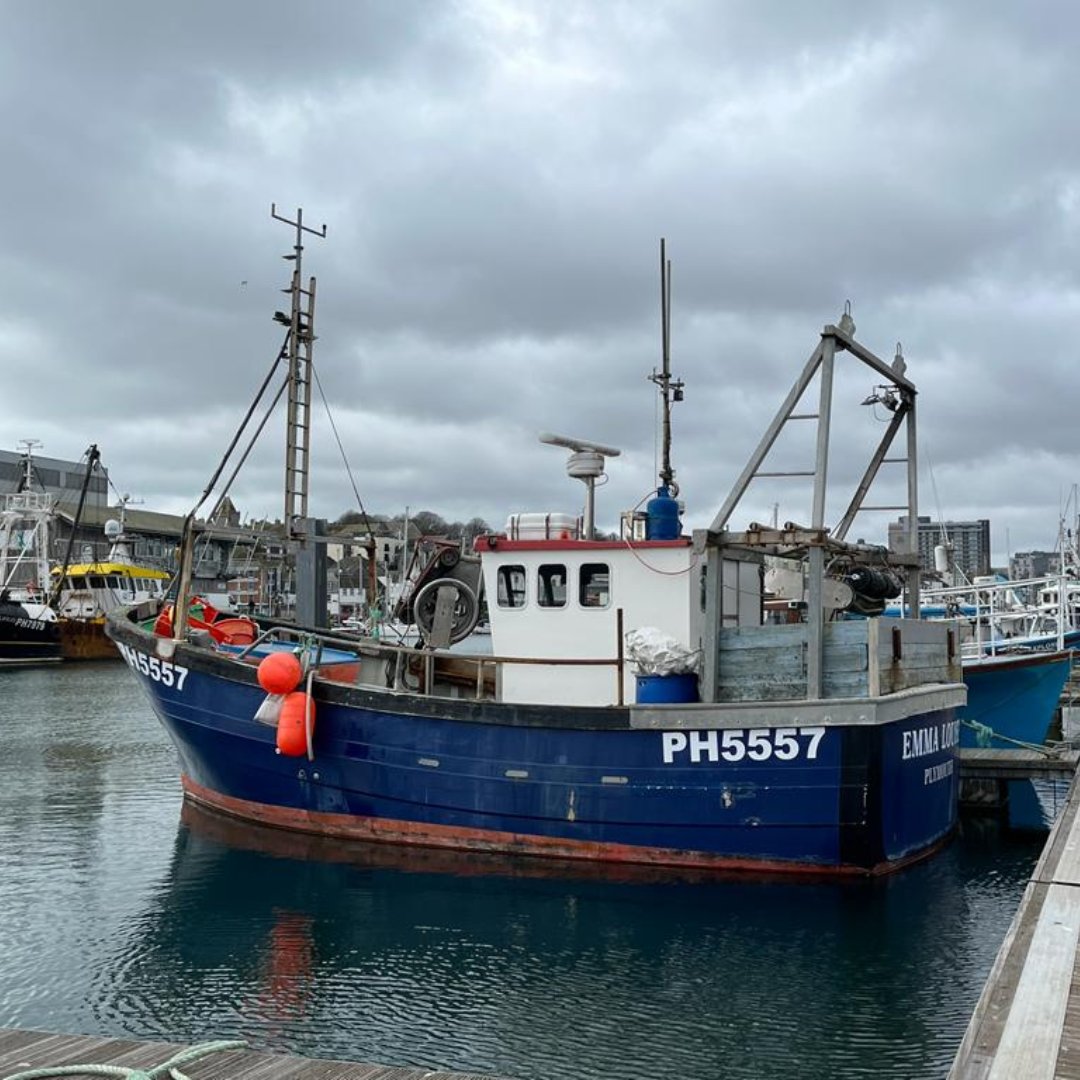 We believe strongly in sustainable fishing: leaving enough fish in the ocean and protecting habitats and threatened species. We regularly buy the fish that we use in our products from Plymouth Fish Market, where even on a grey day everything seems colourful!
#plymouthfishmarket