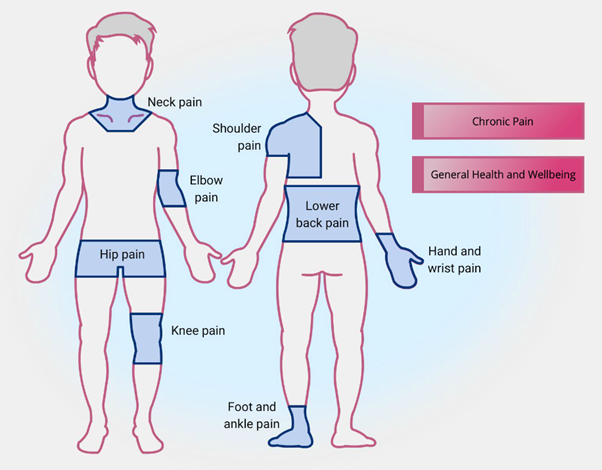 ELCHrehab's tweet photo. Are you suffering from back pain? Or have a sore hip, shoulder, or ankle? Check out our interactive body map. There's information, advice, and exercises to treat common types of pain https://t.co/zBv9i15gcn
#BodyMap #BackPain #ChronicPain #EastLothian #rehabilitation https://t.co/48Ajb3s83L