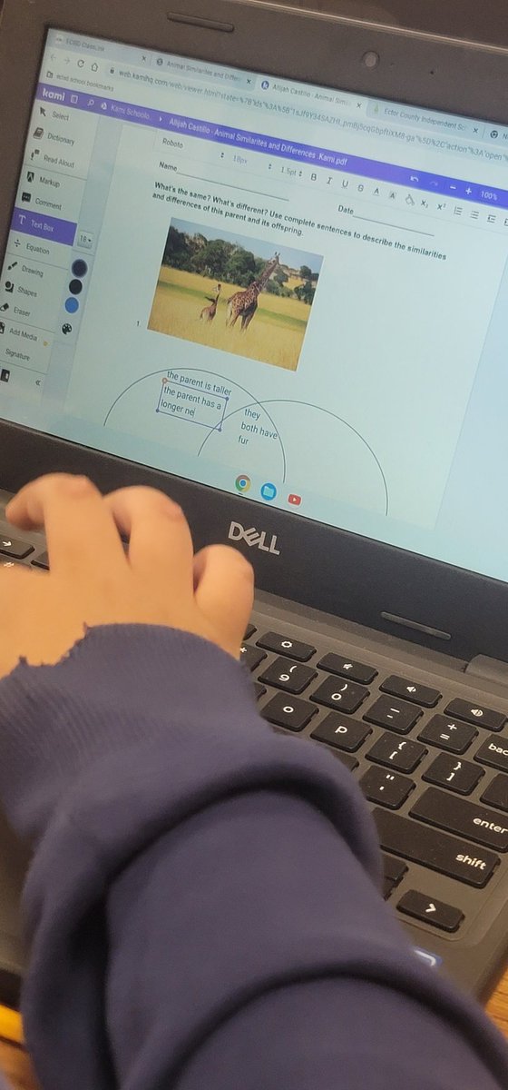 JuanNav1217's tweet photo. Science...graphic organizers... and blended learning all in one today. My students analyzed a parent, and it's offspring for similarities and differences in their inherited and learned traits. https://t.co/ffRYdPaAKU