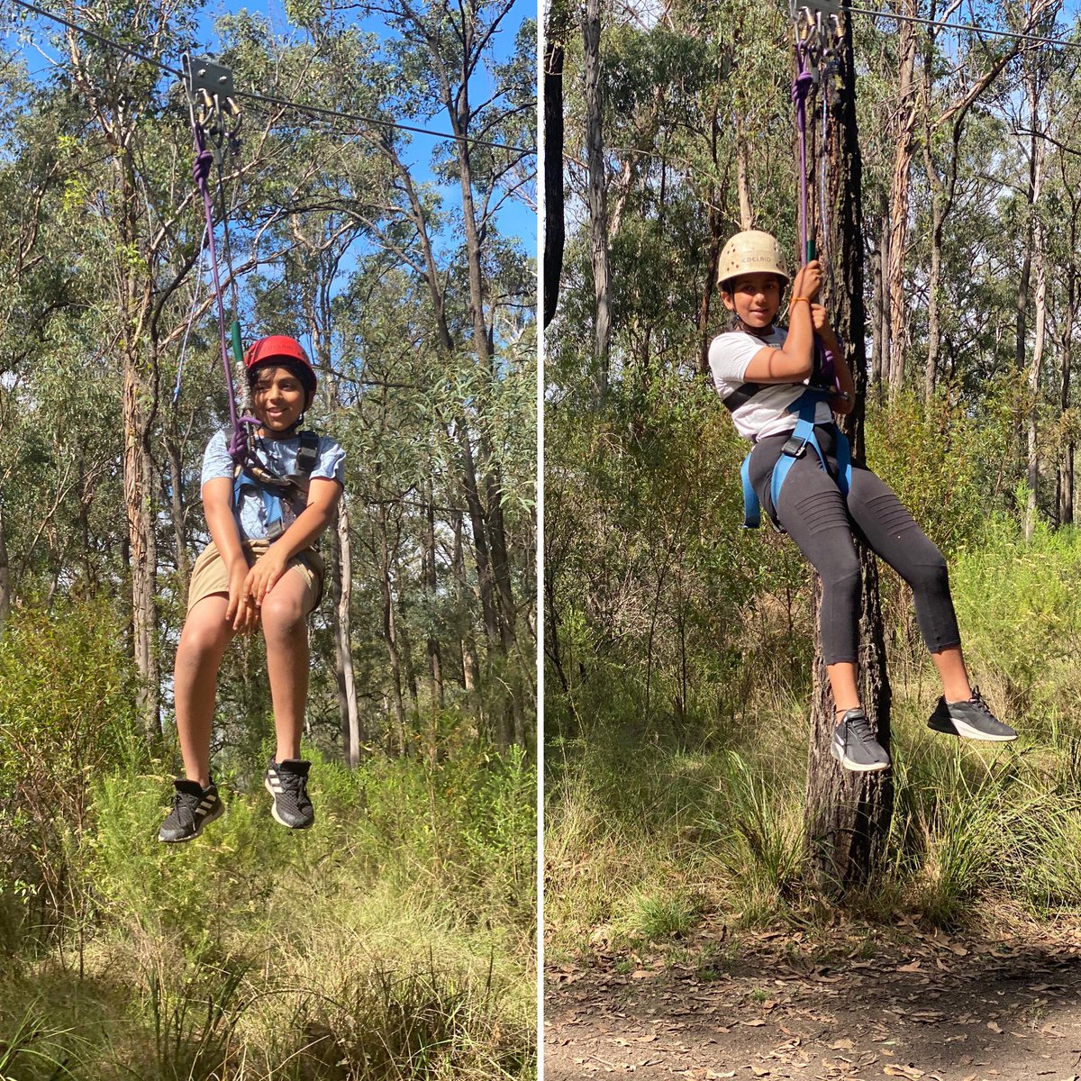 Group 2 continued <a href="/rosehillps/">Rosehill PS</a>