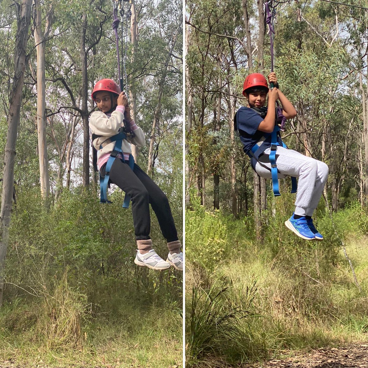 Group 2 - flying fox continued. <a href="/rosehillps/">Rosehill PS</a>