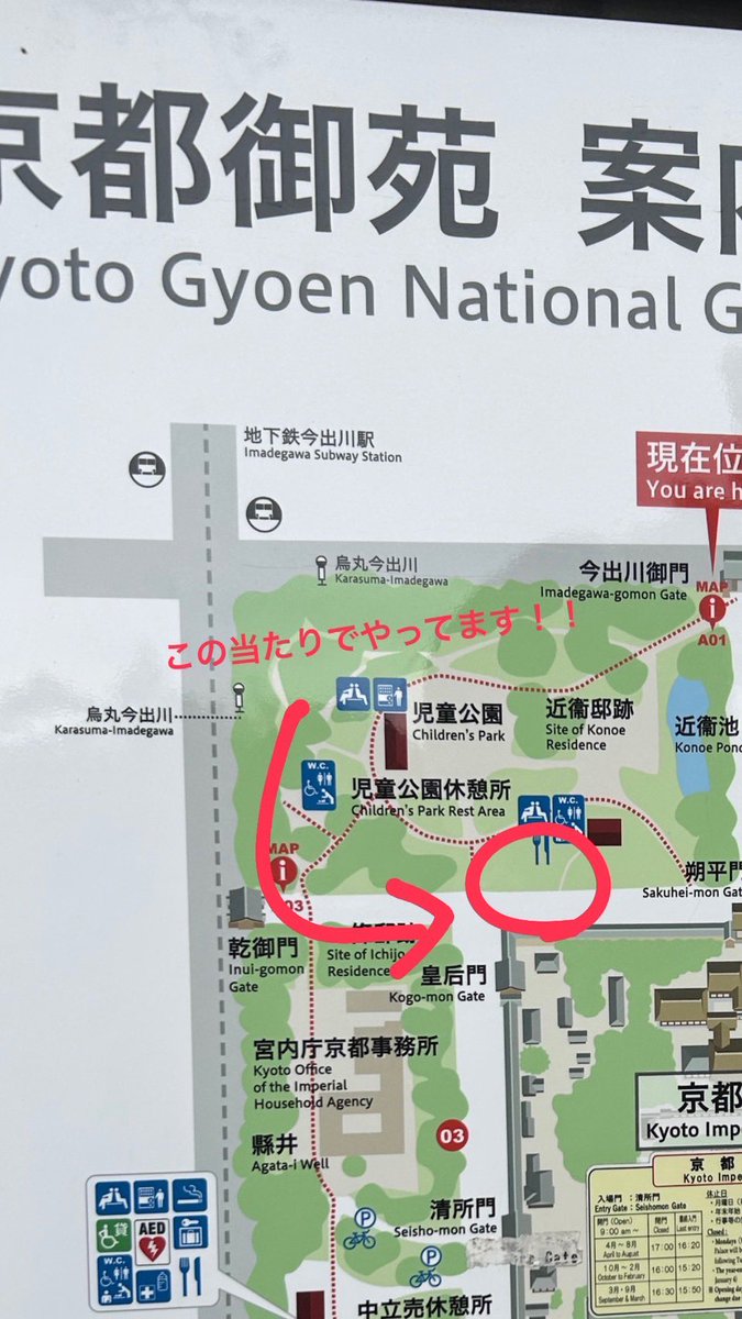 t_Genius17's tweet photo. そしてそして❕
急遽ですが、今から御所でお花見を兼ねて履修相談会を開催します🌸

履修登録終わった人も、お話しするだけでも大歓迎なので待ってます✨

Geniusちょっとでも気になる人はぜひ来てください！お菓子もあるよ😻 (16時位までする予定です) https://t.co/9c46ZMhZEz