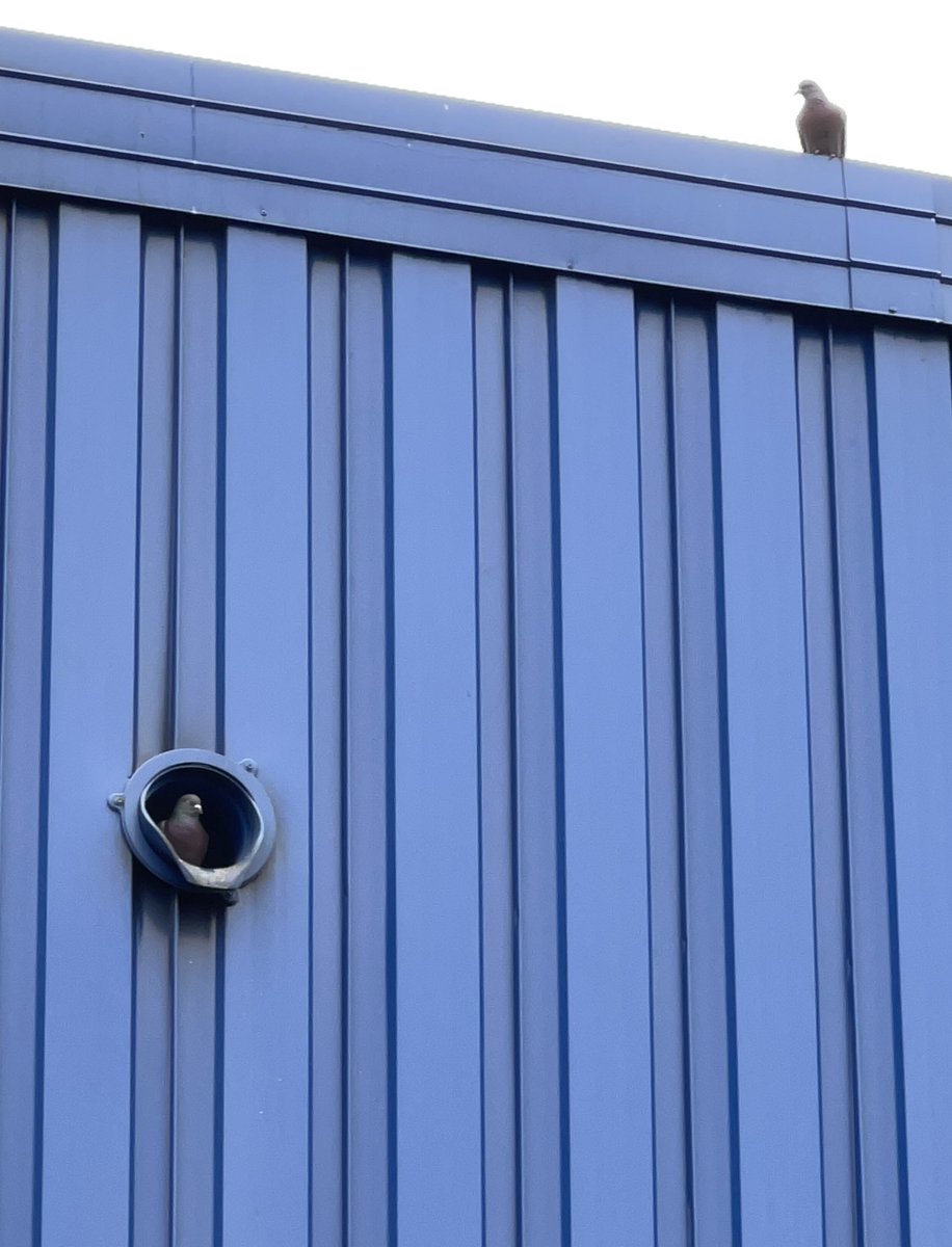 Chet Withaque tweet media