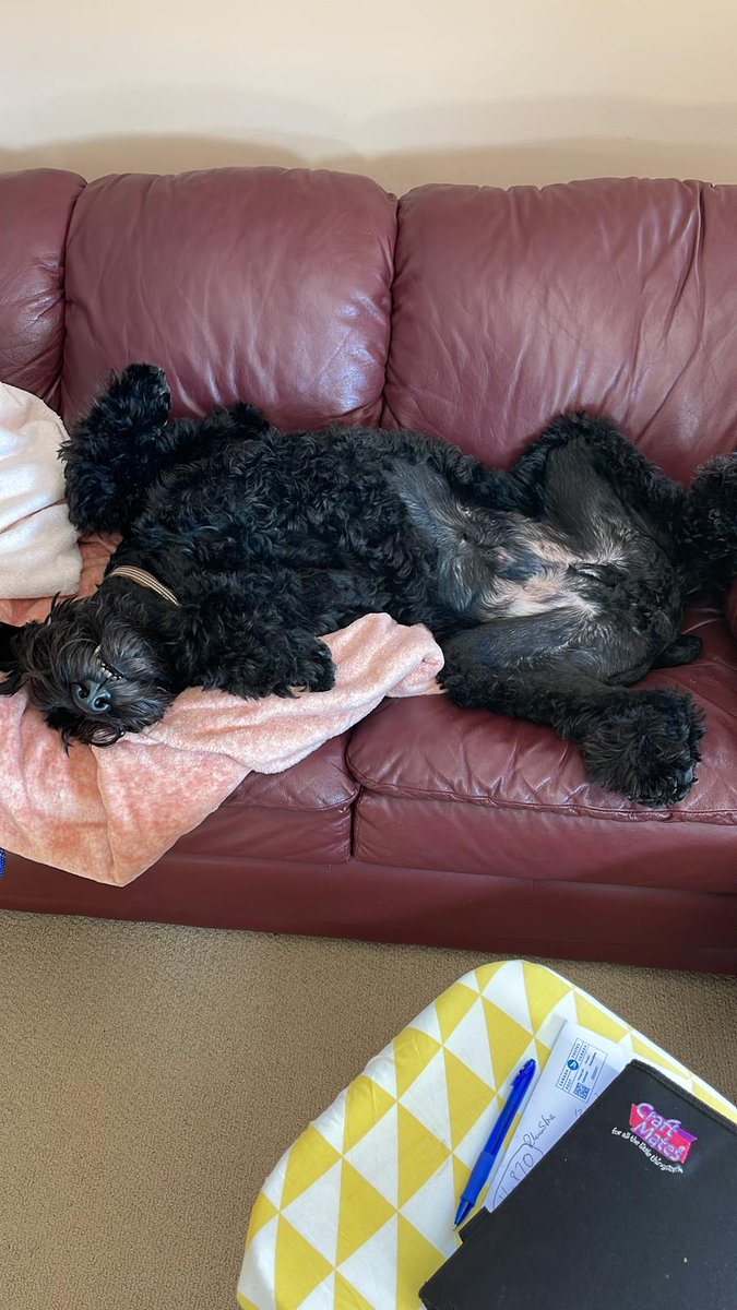 mrhattrick's tweet photo. @bunsenbernerbmd Indecent Exposure https://t.co/RUghPVaV0D