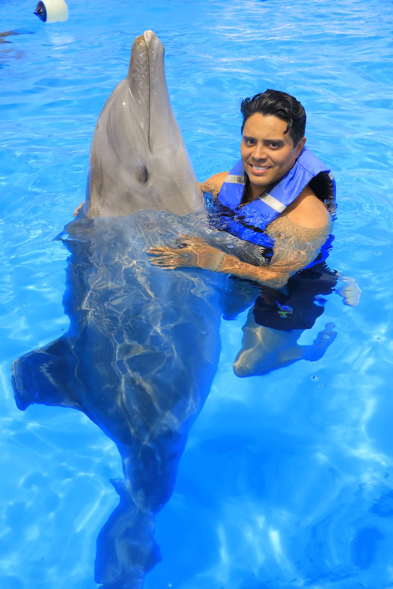 RicardoChew's tweet image. Solo un besito más … 
#CaboAdventures #LosCabos #SanJoseDelCabo #VisitMexico #DolphinEncounter