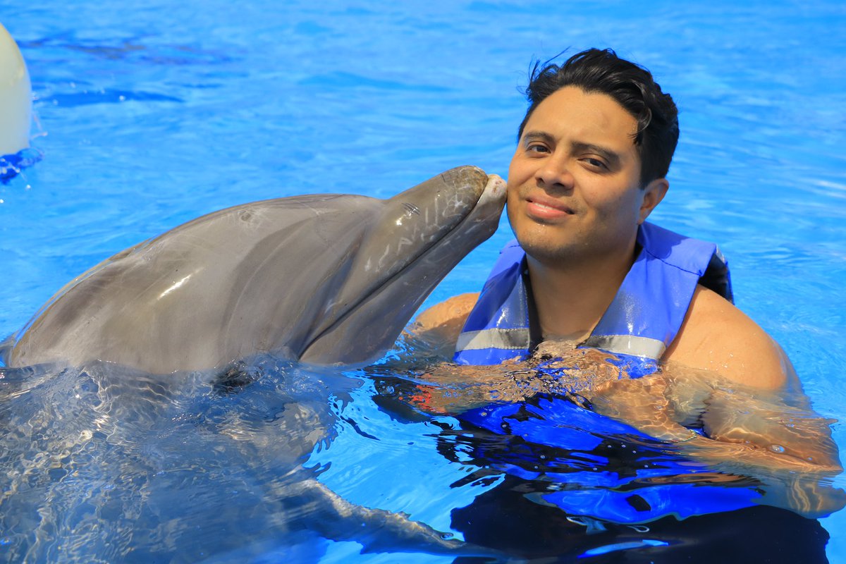 RicardoChew's tweet image. Solo un besito más … 
#CaboAdventures #LosCabos #SanJoseDelCabo #VisitMexico #DolphinEncounter
