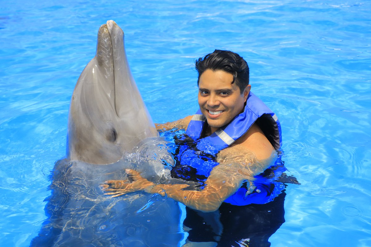 RicardoChew's tweet image. Solo un besito más … 
#CaboAdventures #LosCabos #SanJoseDelCabo #VisitMexico #DolphinEncounter