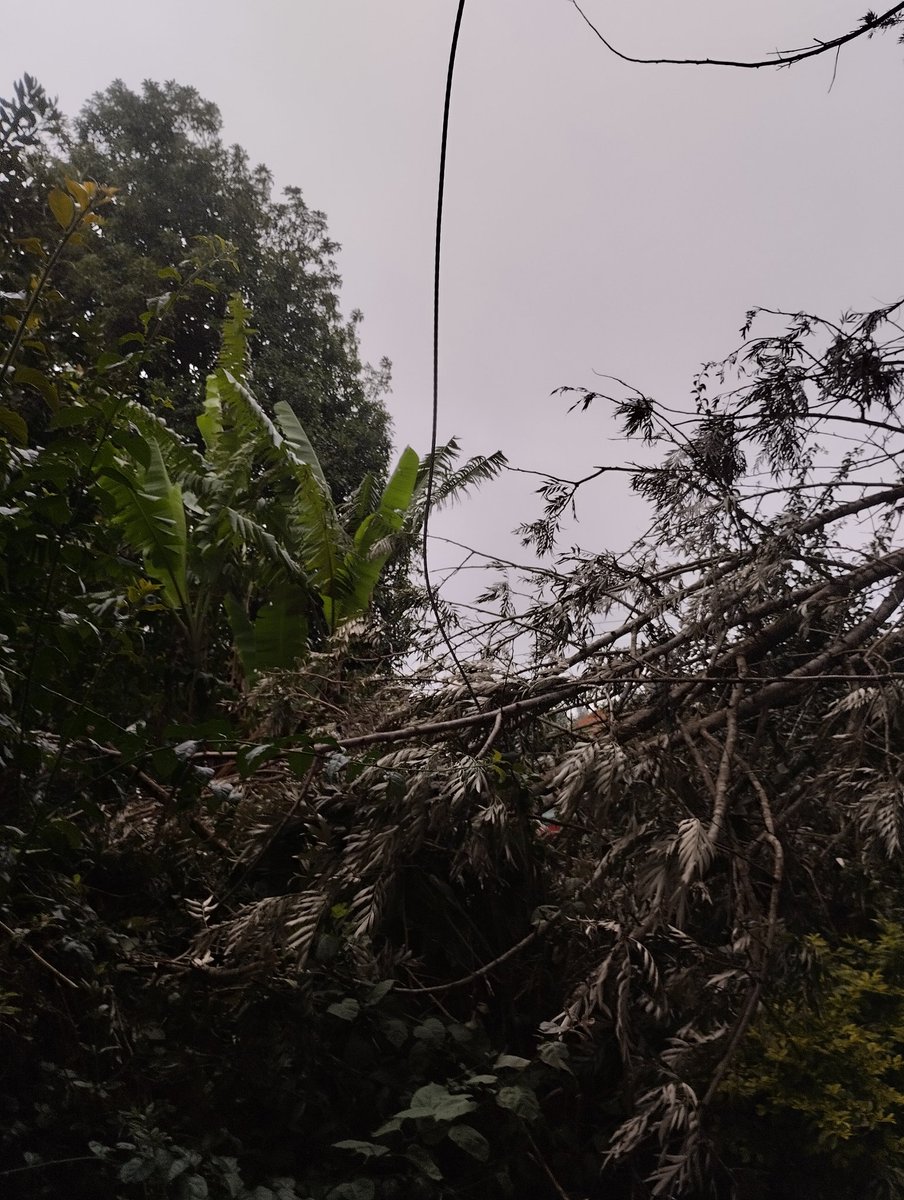 GitariKarendi's tweet photo. @KenyaPower_Care https://t.co/mAeEb2peQc